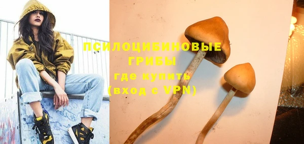 тгк Абдулино