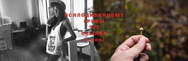 тгк Абдулино
