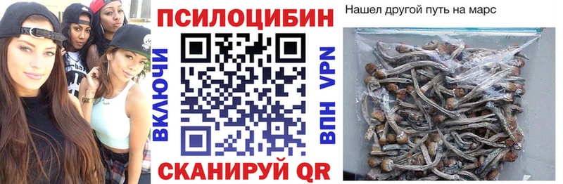 Псилоцибиновые грибы Psilocybine cubensis  Черногорск 